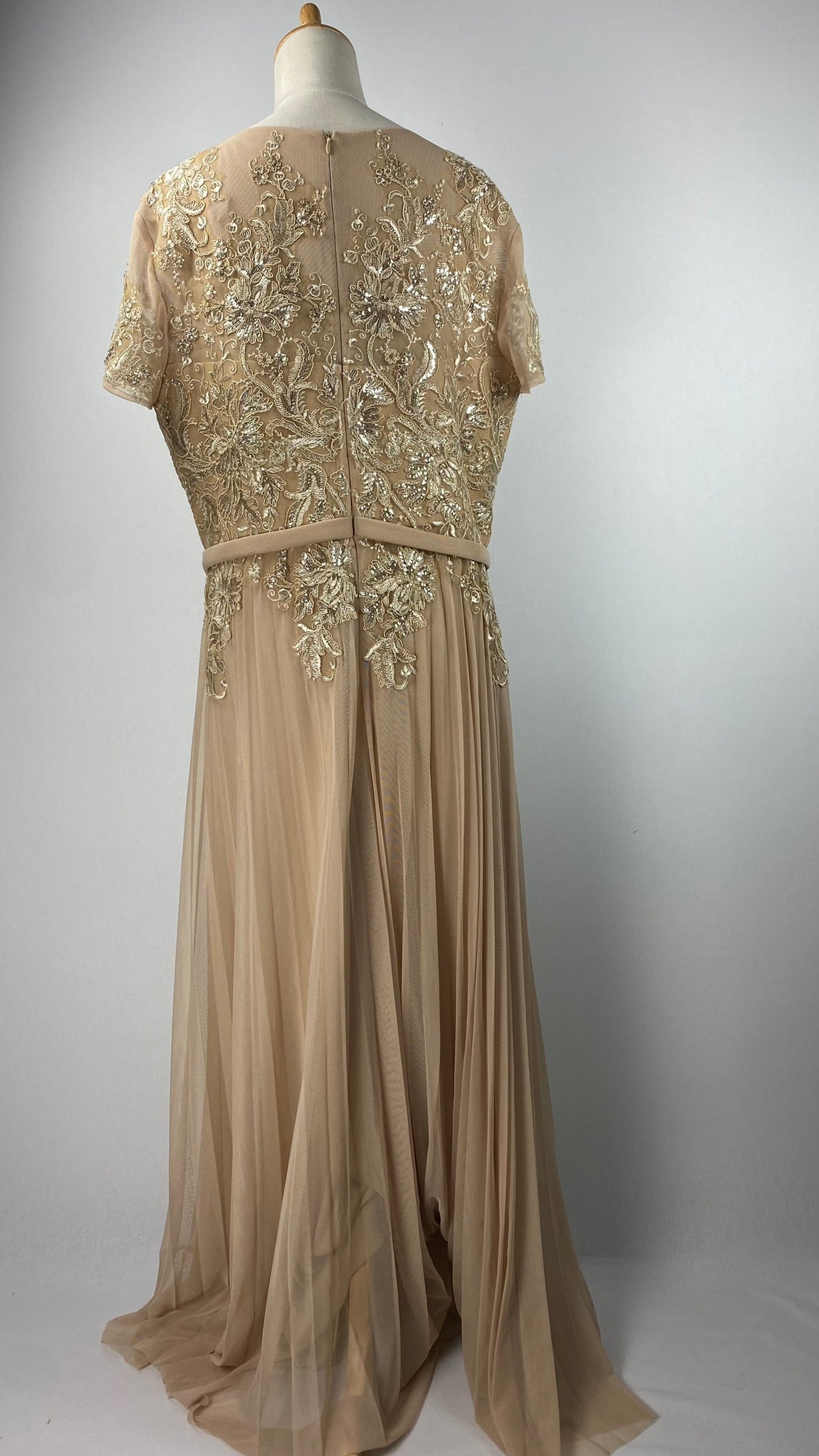 Cachet Short Sleeve Maxi Evening Gown with Embroidery, Gold